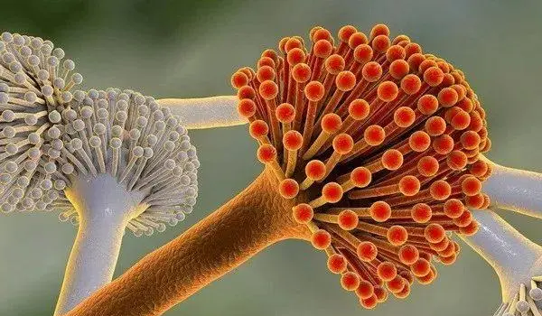 抗菌產(chǎn)品詳介